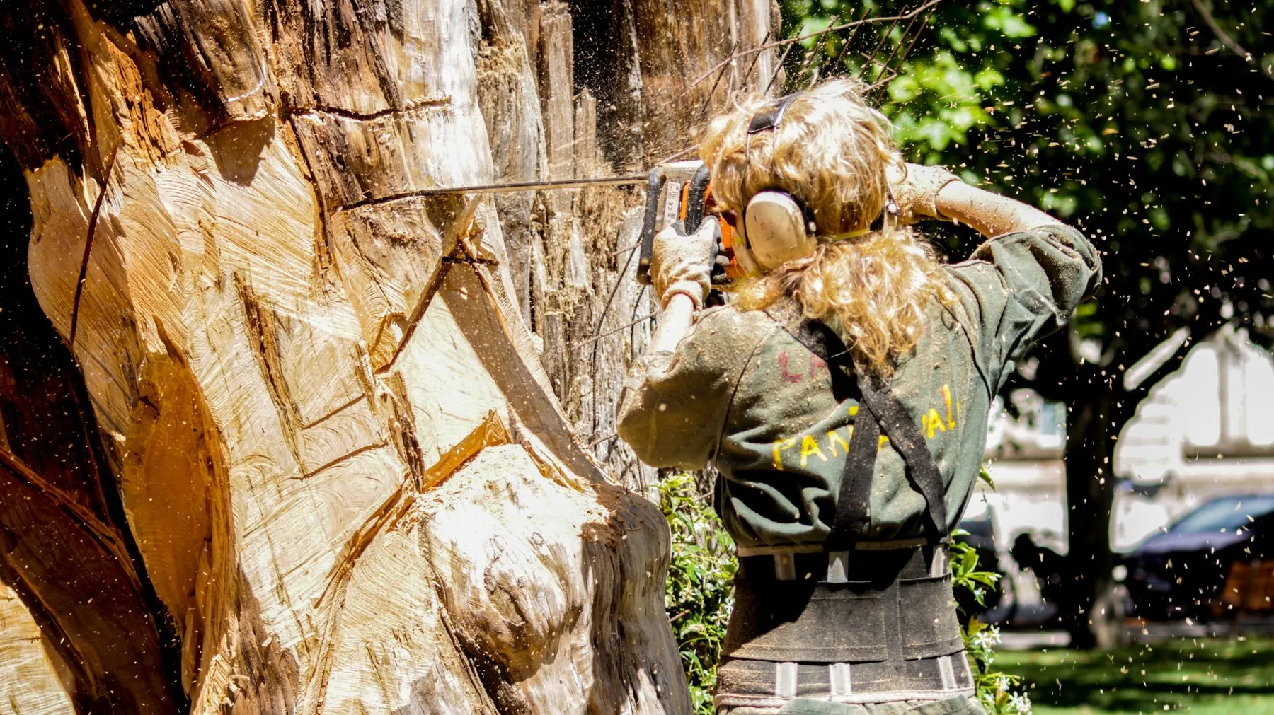 Tree service worker cutting a large trunk section, sawdust flying